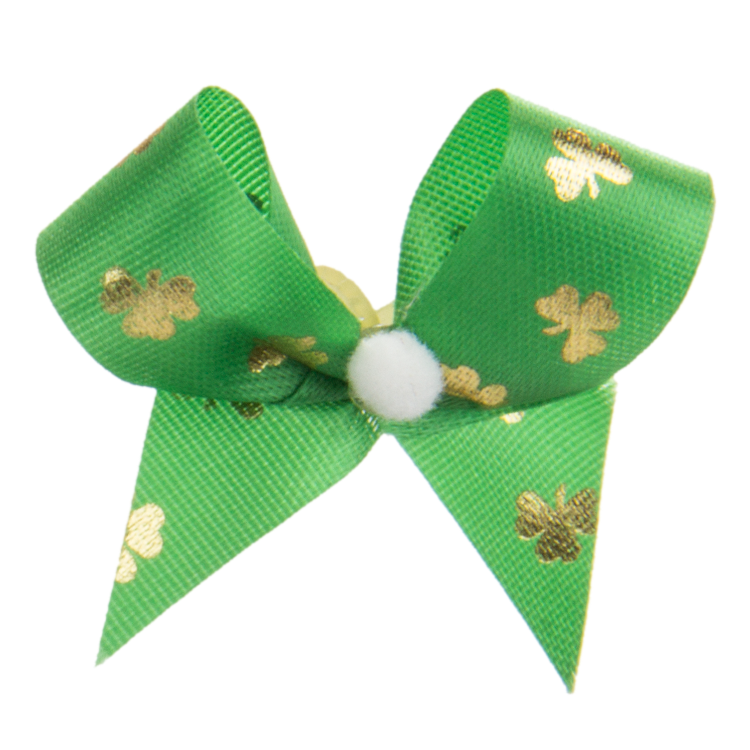Davis St. Patrick's Day - Image 2