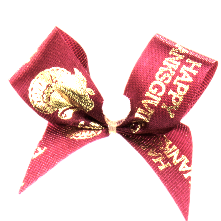Davis Thanksgiving Bows - Image 3