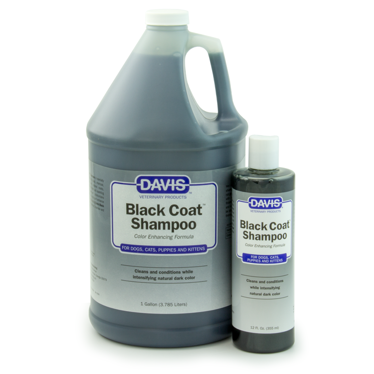 Davis Black Coat Shampoo