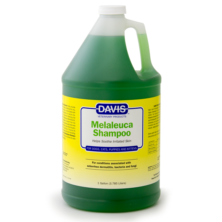davis melaleuca shampoo