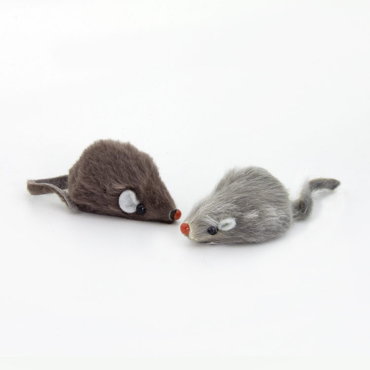Fur Mouse in Cheese Box