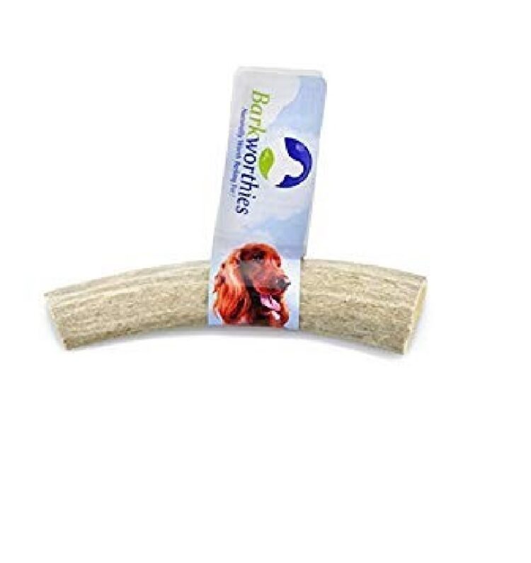 Barkworthies Elk Small Antlers Split Chew For Dogs